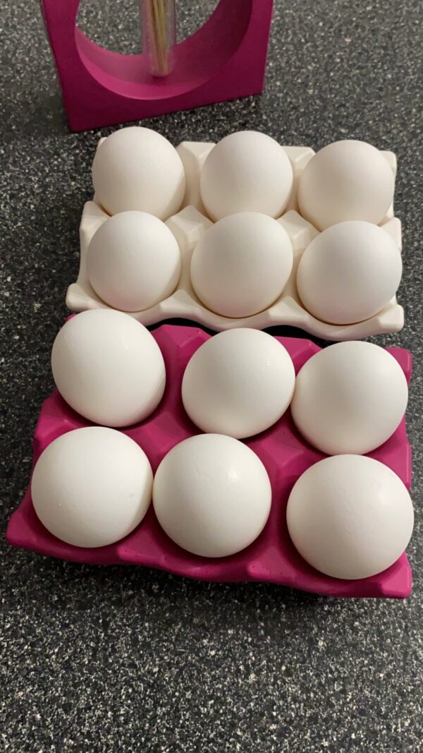 HALO Egg Tray - Image 3